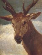 Diego Velazquez Tete de Cerf (df02) oil painting picture wholesale